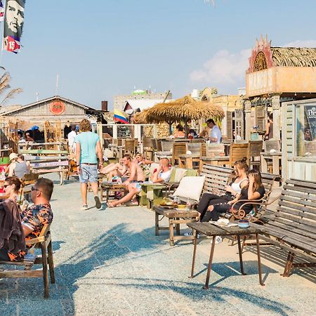 Seawave Studio Zandvoort Bagian luar foto