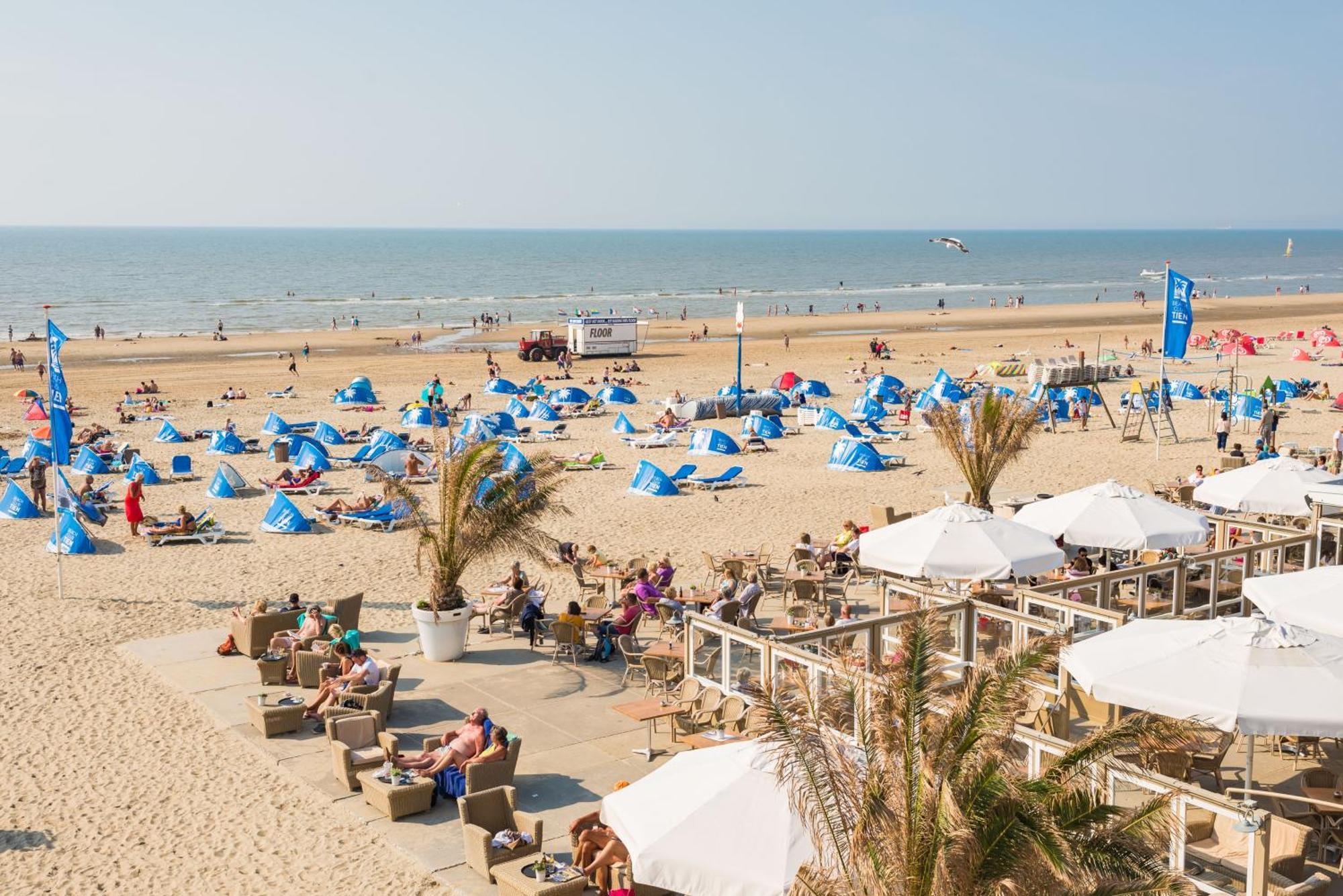 Seawave Studio Zandvoort Bagian luar foto